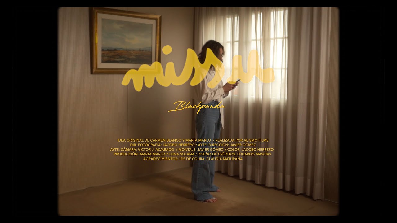 Blackpanda - miss u