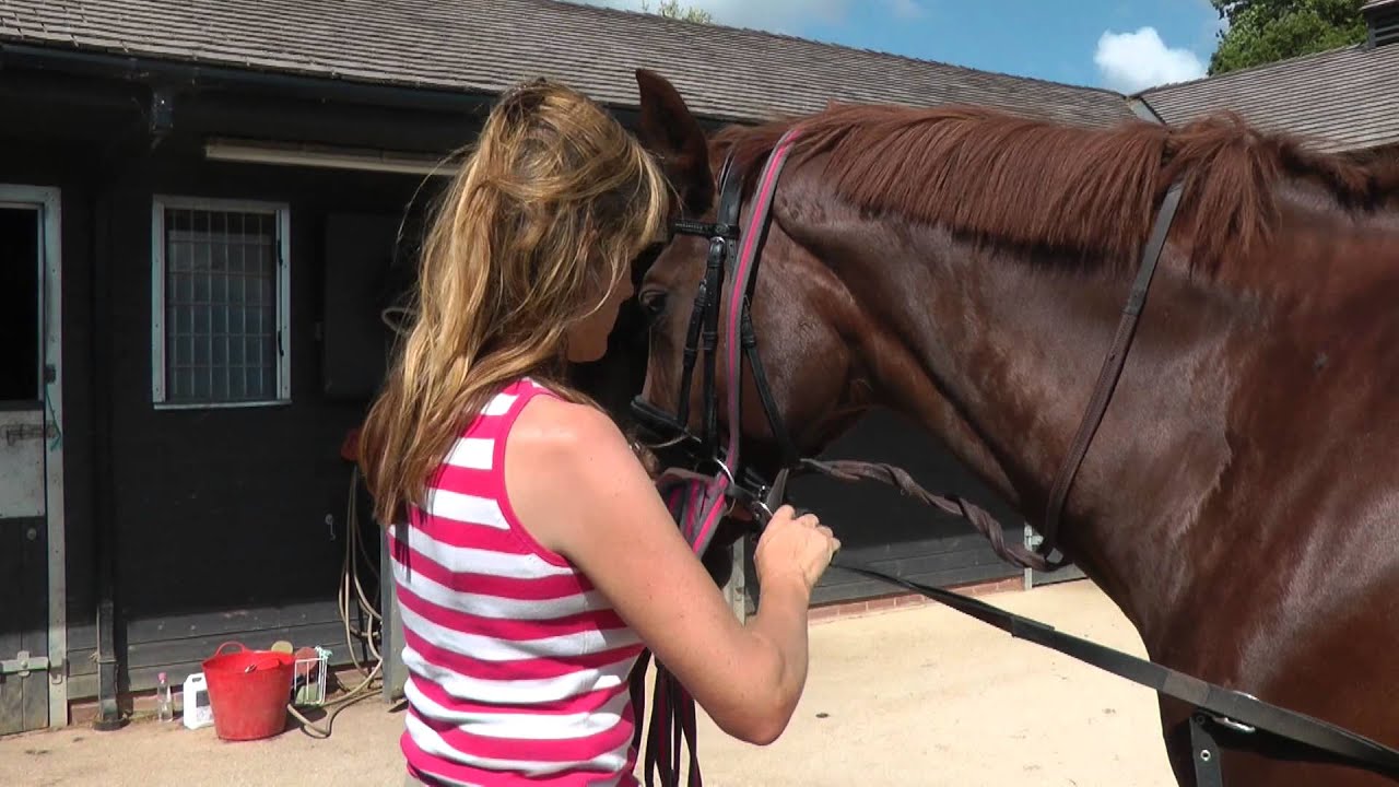 Jo Jackson's Top Tips | Equipment for Lunging | Horse&Rider Magazine