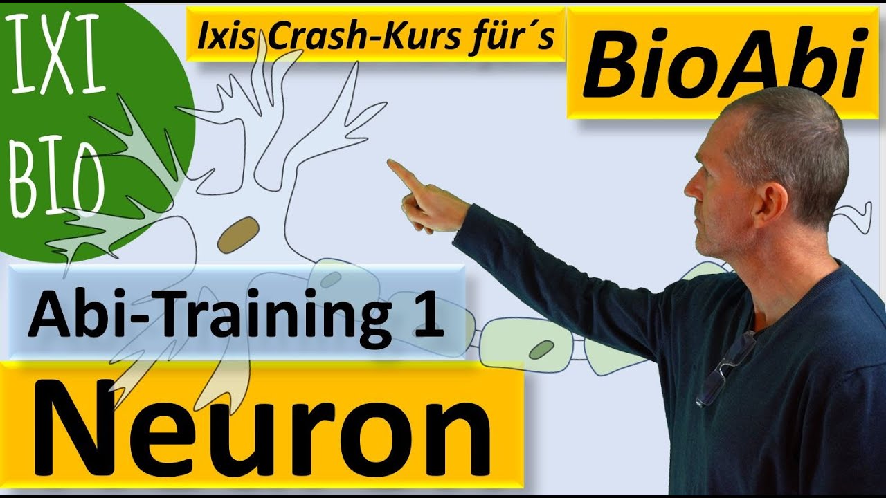 Neuron - Nervenzelle Anwendungsaufgaben zur Abivorbereitung Nervenzellen - Neurophysiologie