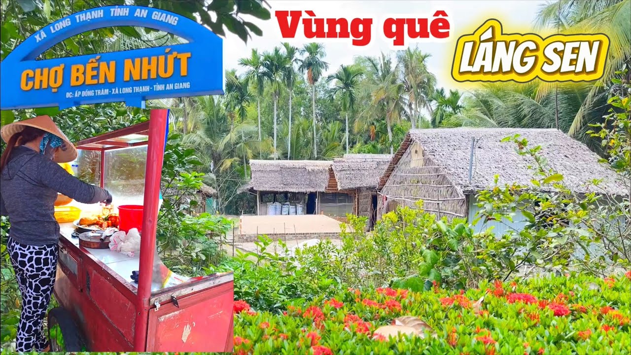 Vùng quê láng sen | về chợ Bến Nhứt long thạnh an giang mộc mạc nhà lá đậm chất miền tây 