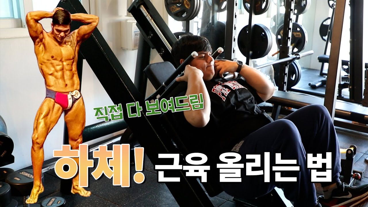 하체! 근육 안 붙는 이유 이거였습니다｜프랑코 운동법 전부 공개