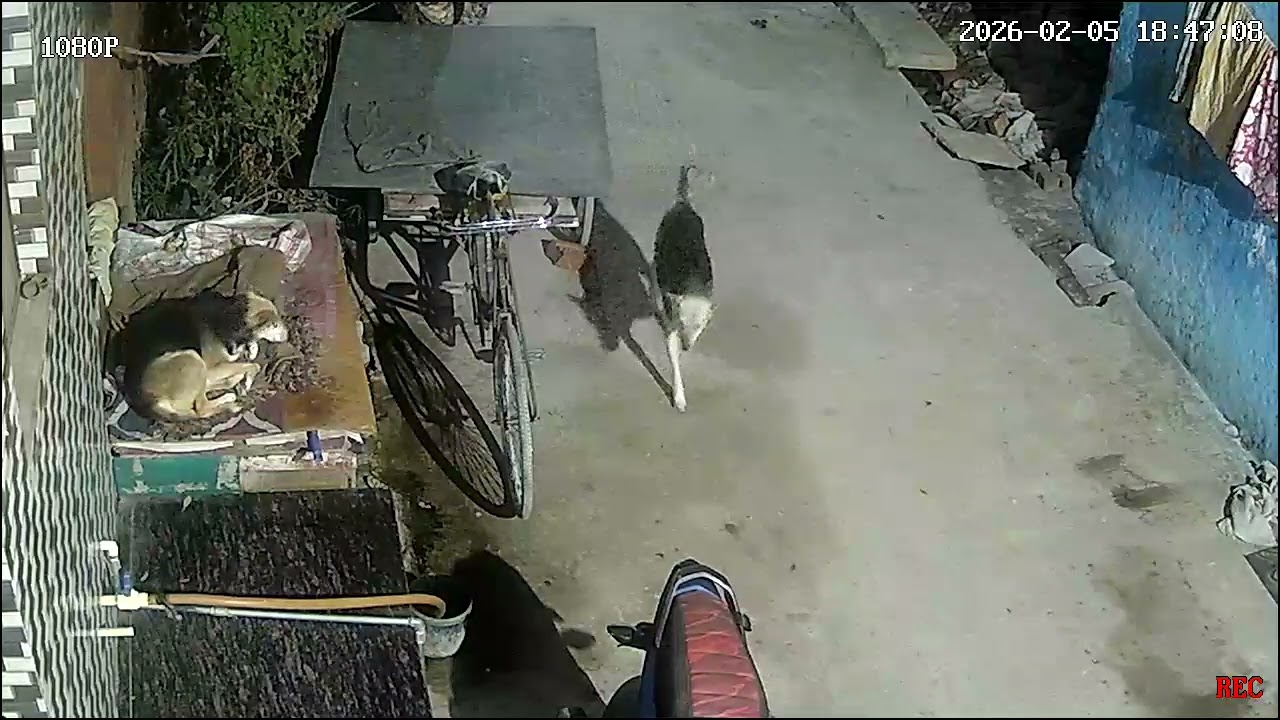 kaaaallllluuuu