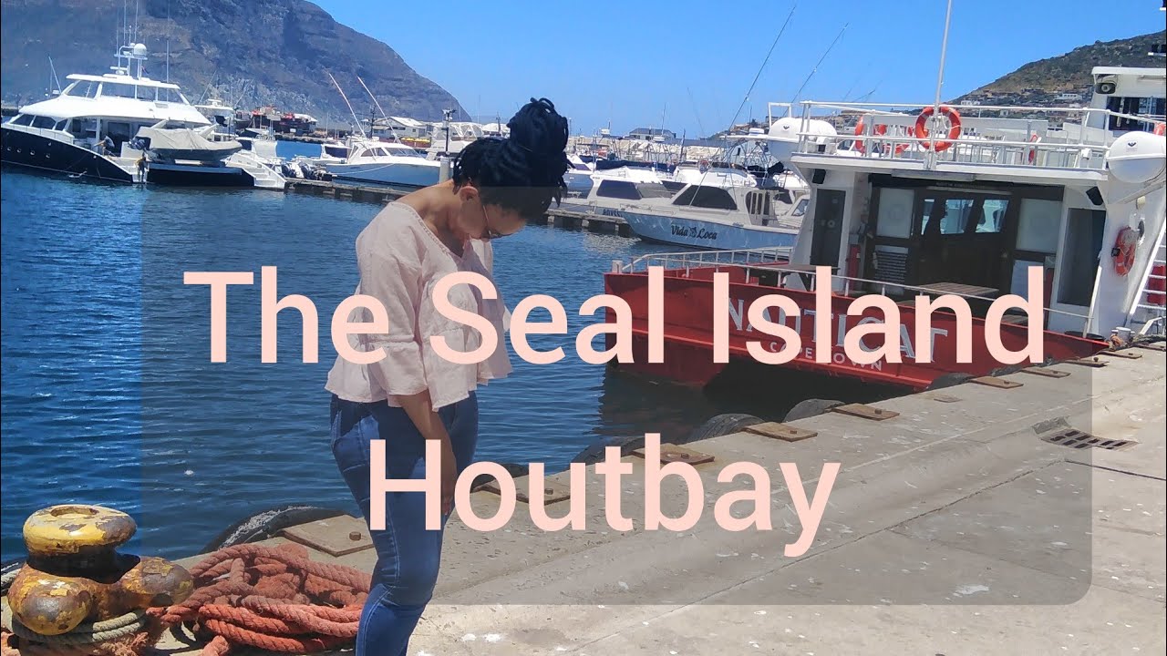 Seal Island tour|Houtbay