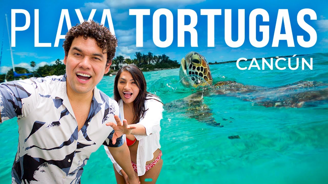 Playa TORTUGAS 🇲🇽 NO VAYAS sin ver esta guía