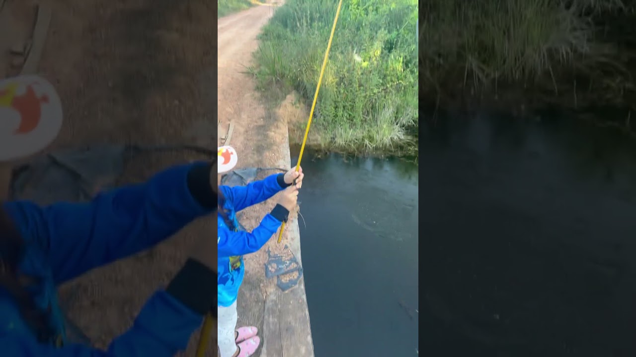Minha pescadora 