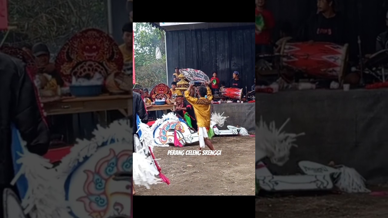 #Perang Celeng SRENGGI #JOKO KENDIL