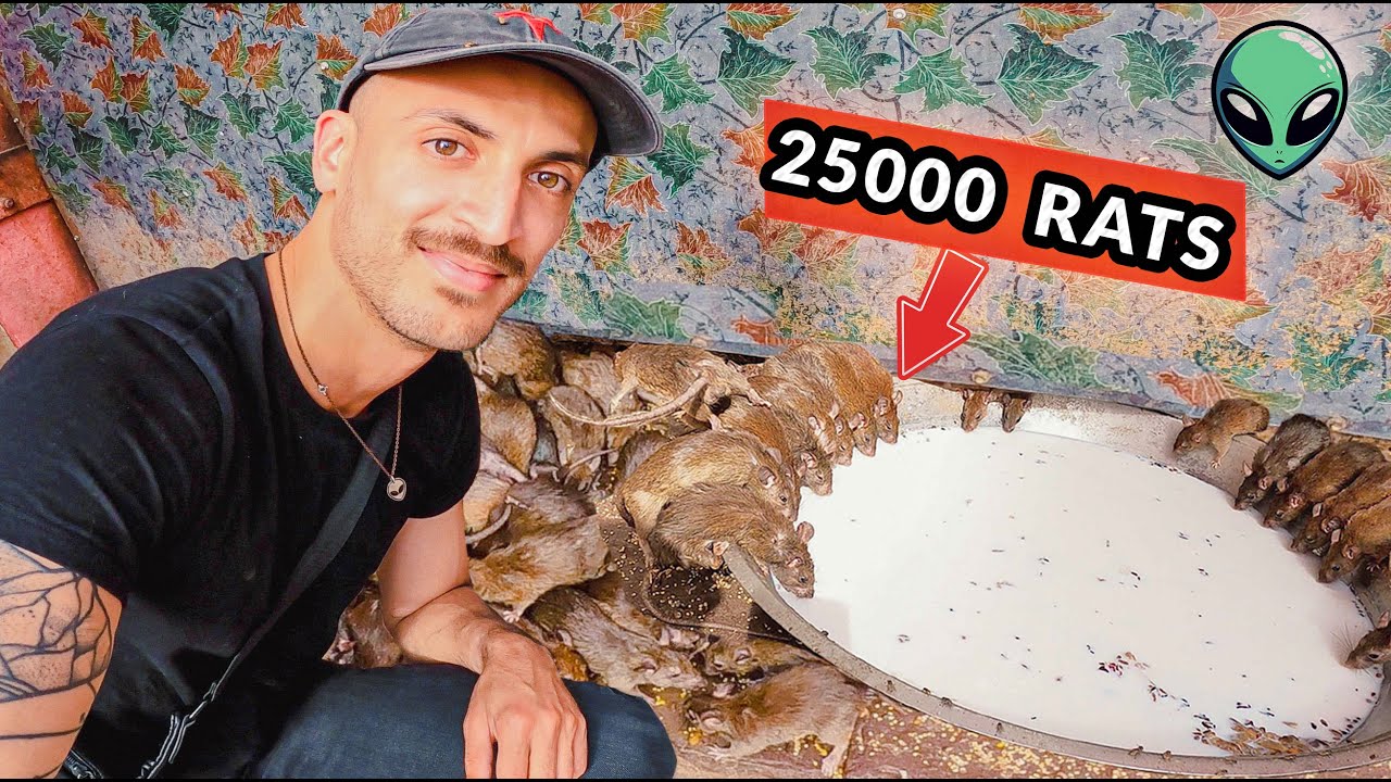 I visited India's Rat Temple with Thousands of Rats [must go inside BAREFOOT]