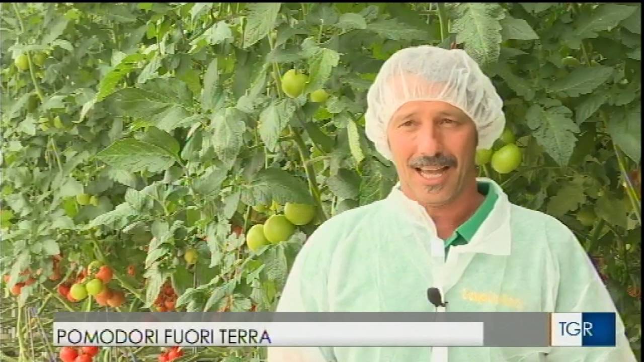 TGR Puglia 28 Giugno 2016