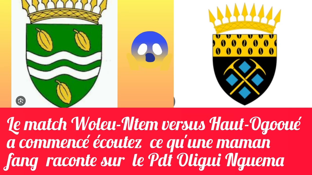Woleu-Ntem versus Haut-Ogoou&eacute; : une maman fang tacle s&eacute;v&egrave;rement le Pdt Oligui Nguema 