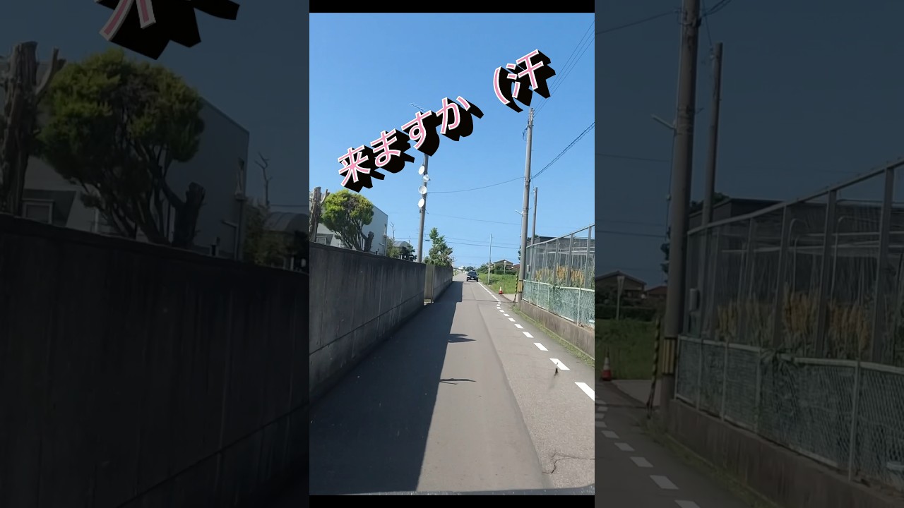 すれ違いできない幅の道で対向車が進入してきた結果…