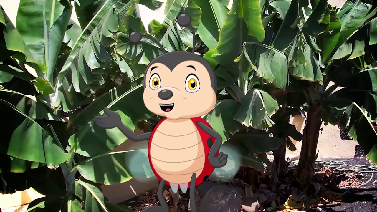 Capítulo 2 Toni: ¿Qué es una planta? ¿Y las plantas autóctonas?