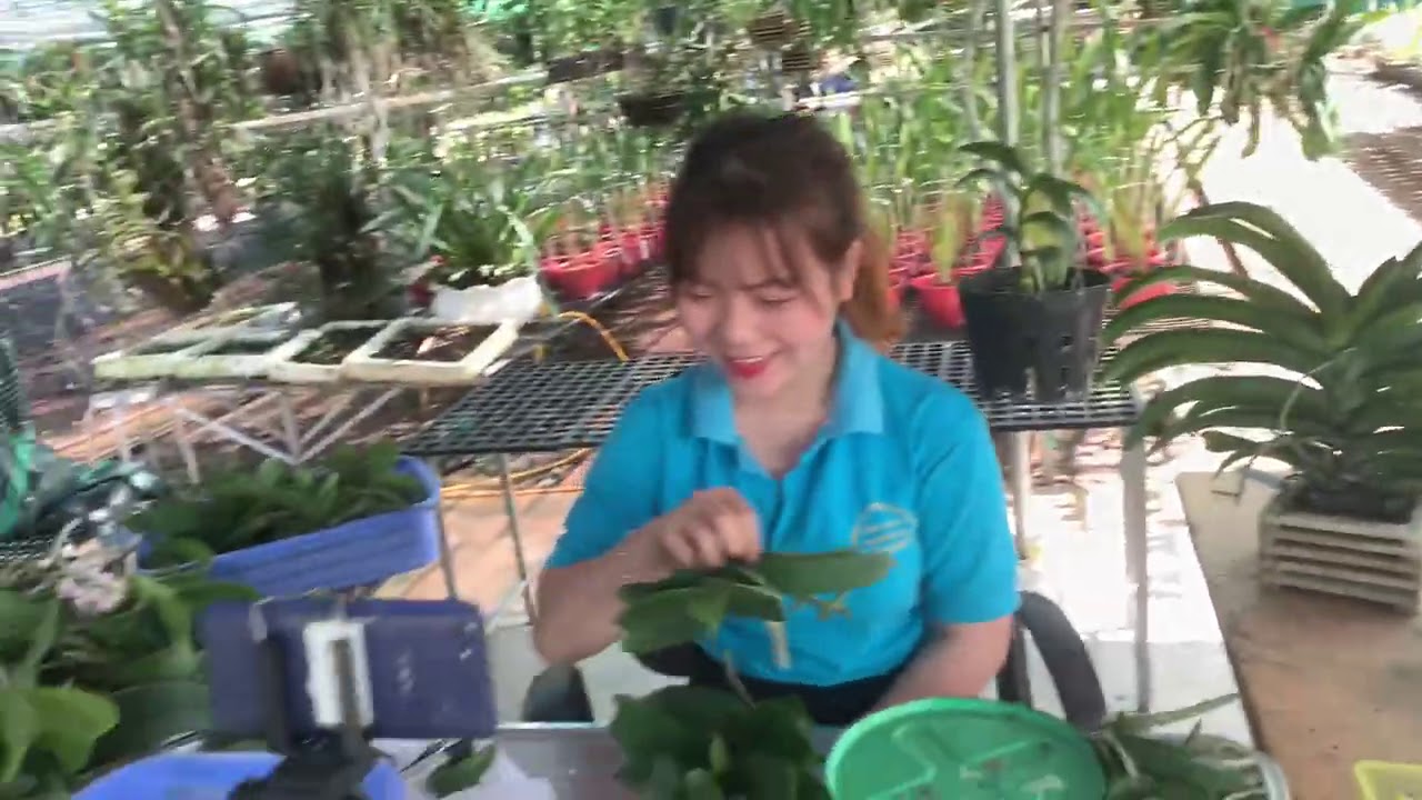 C&ugrave;ng Mr. Trần B&aacute; Ninh Thăm Quan Vườn Lan B&aacute; Ninh
