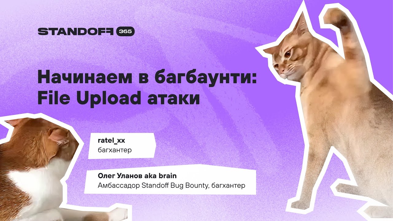 Начинаем в багбаунти: File Upload атаки