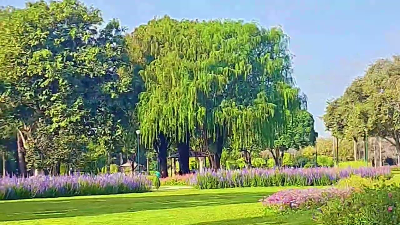 Visit to garden 😊 love greenery 🏕
