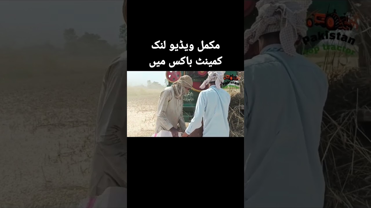 Part 3 fait480and 84 cutter thresher performance#fait480 #tractorperformance #pakistantoptractor