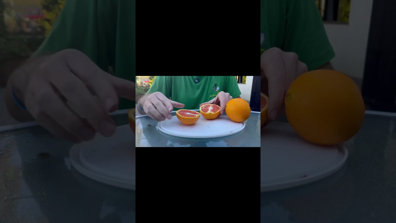 Cara Cara orange #CaraCaraOrange#CitrusSeason#FreshOranges#SweetCitrus#HealthySnacks#citruslover