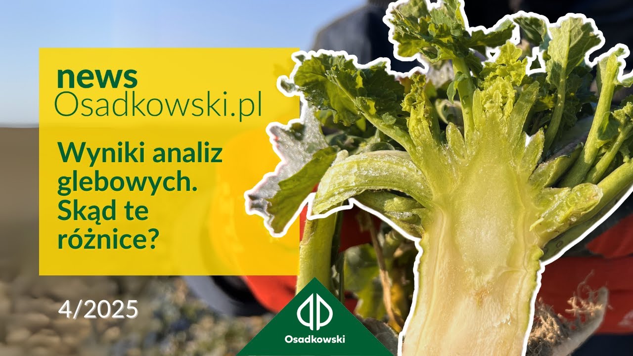 Jak intepretować wyniki badania gleby w kontekście wiosennego nawożenia rzepaku