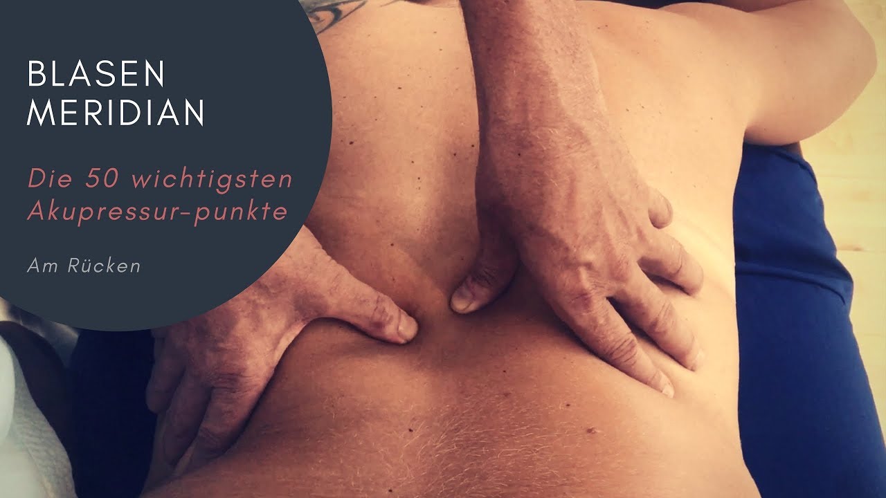 Behandlung des Blasenmeridians - Kursbegleitende Tutorials
