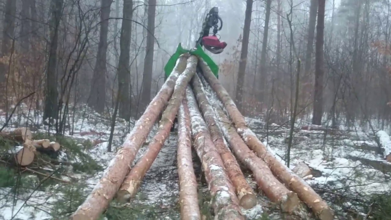 Załadunek sosny tartacznej,  Ursus 1224 Turbo + Fao-far 1242HD +Klembank