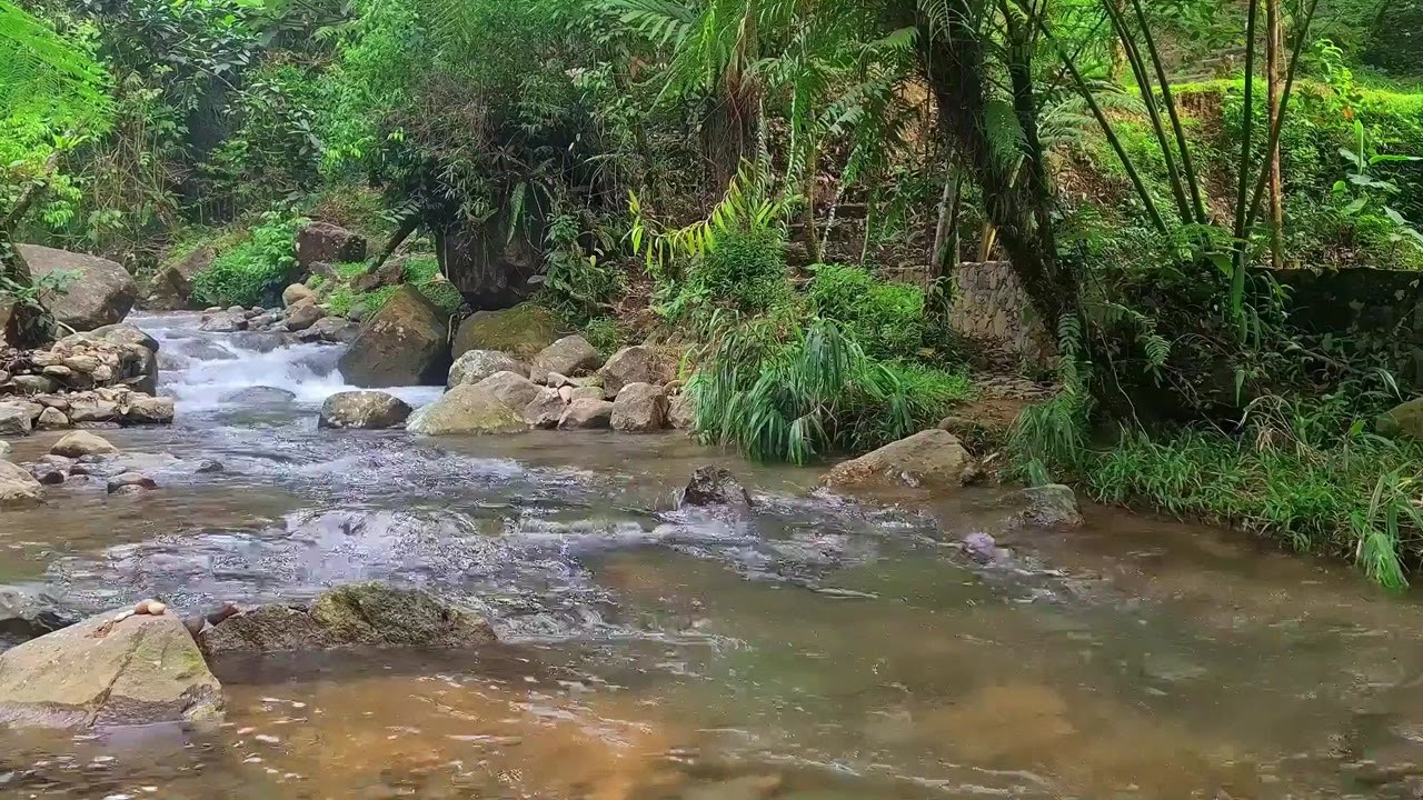 Gentle River Flow for Deep Sleep | Natural White Noise to Relax Your Mind Tonight