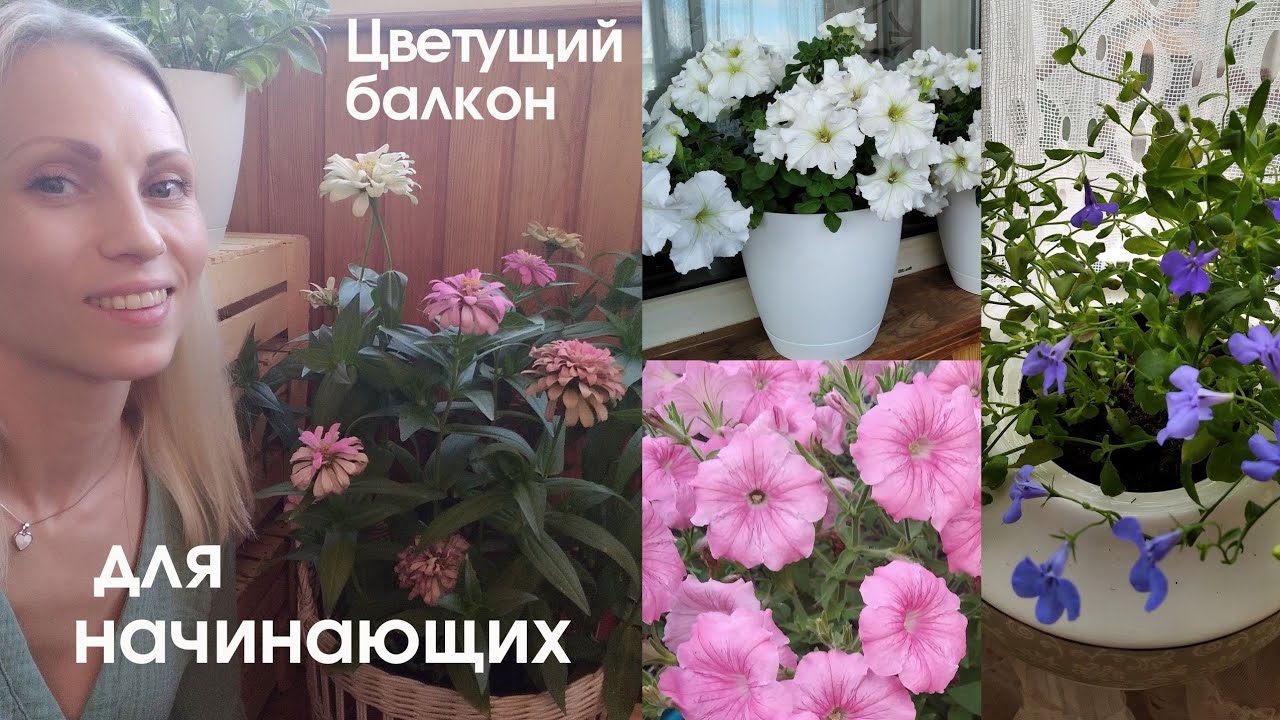 МОЙ ЦВЕТУЩИЙ БАЛКОН, 2021. Цветы на лоджии для начинающих.