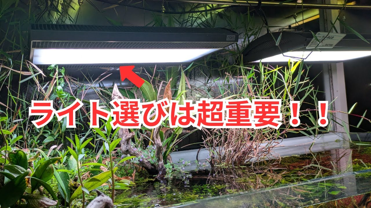 60cmで水草水槽を作るならこのライトがおすすめです！