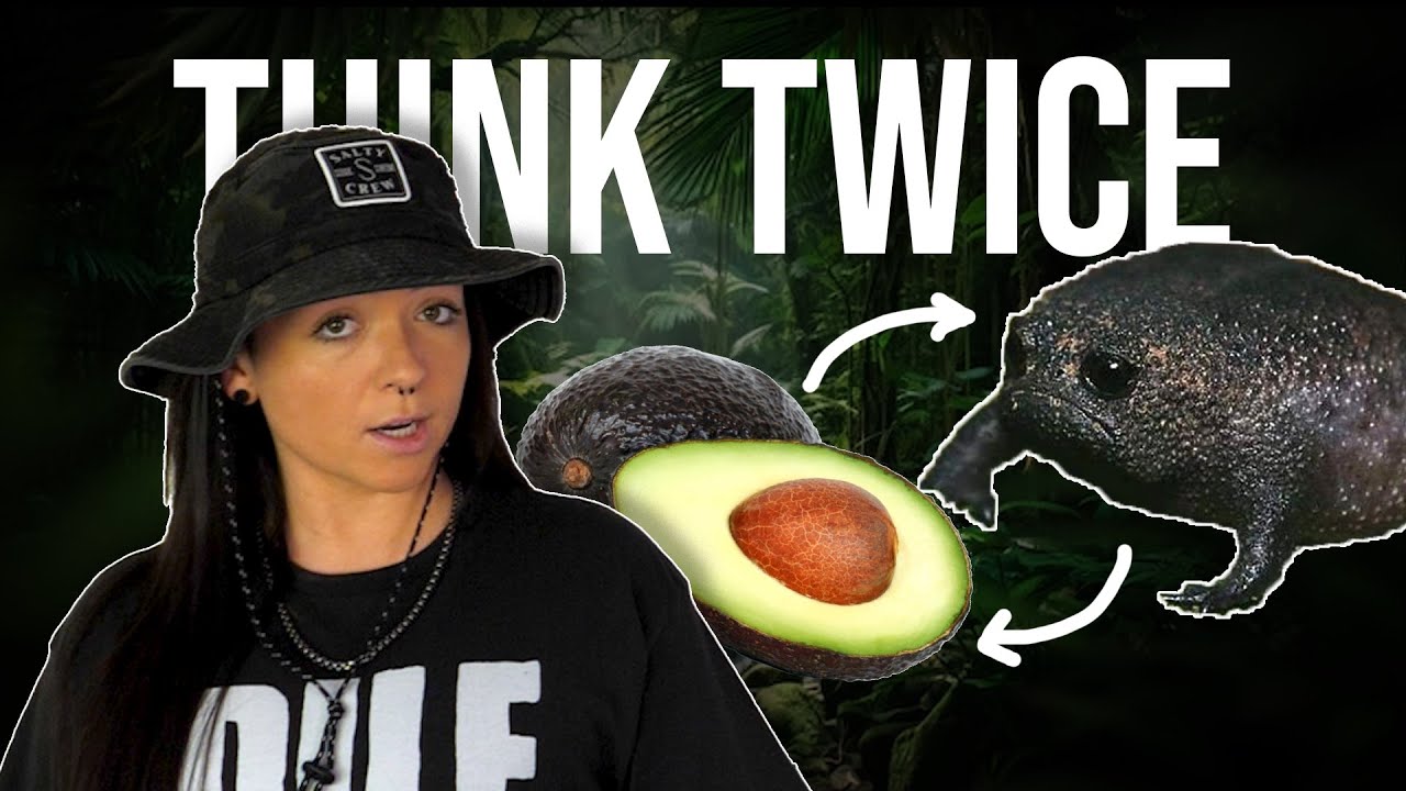 FROGS i think that you will LIKE | Lindsay Nikole