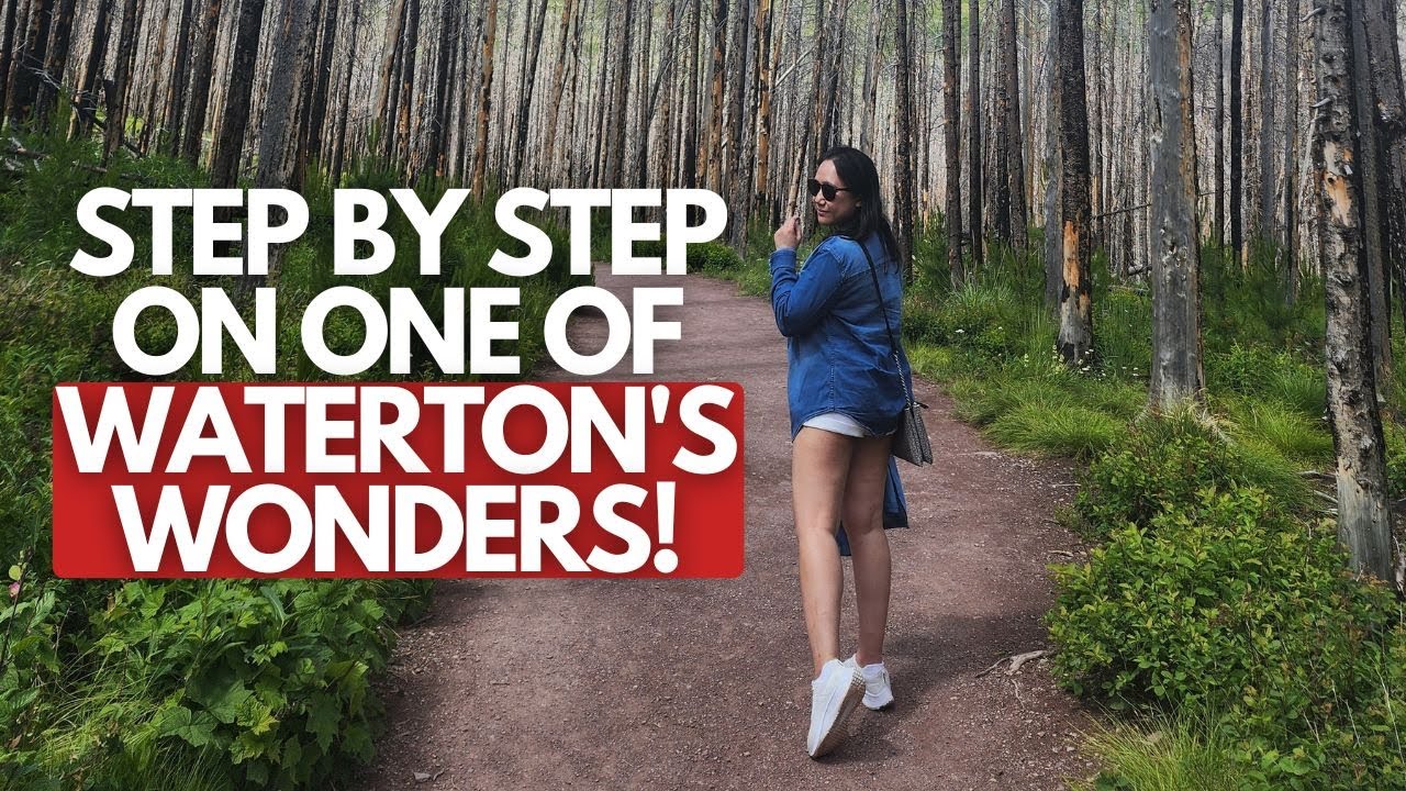 This is how we started liking to Hike! Blakiston Falls Hike