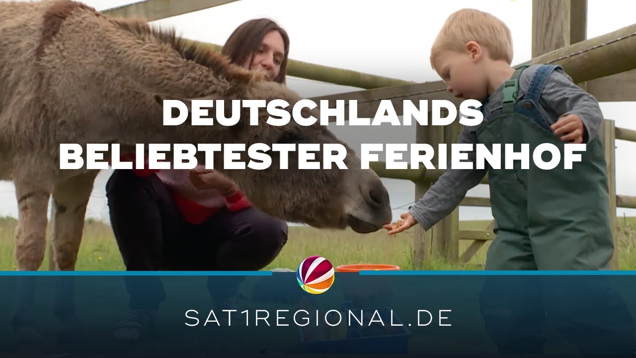 „Deutschlands beliebtester Ferienhof“: Der Nordsee-Ferienhof Wittmaack