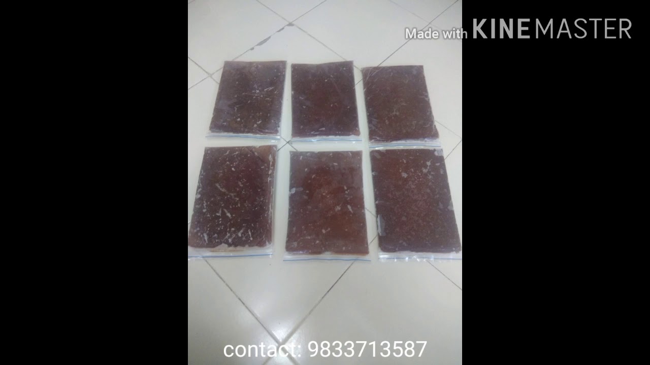 discus fish food