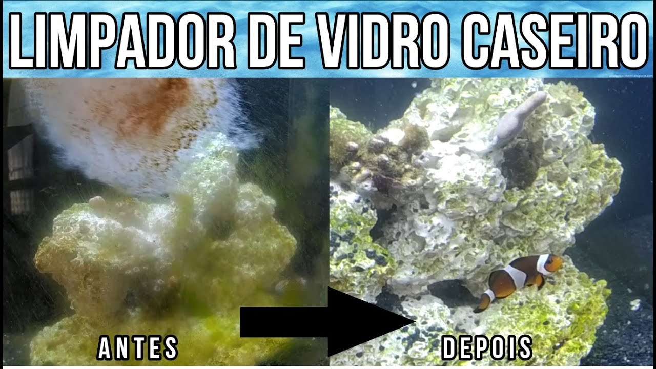 Fiz um Limpador de Vidro Caseiro com Menos de R$1,00 que não risca o vidro!