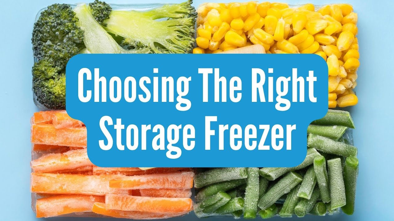 Solid Door or Glass Door Freezer | Which One to Choose