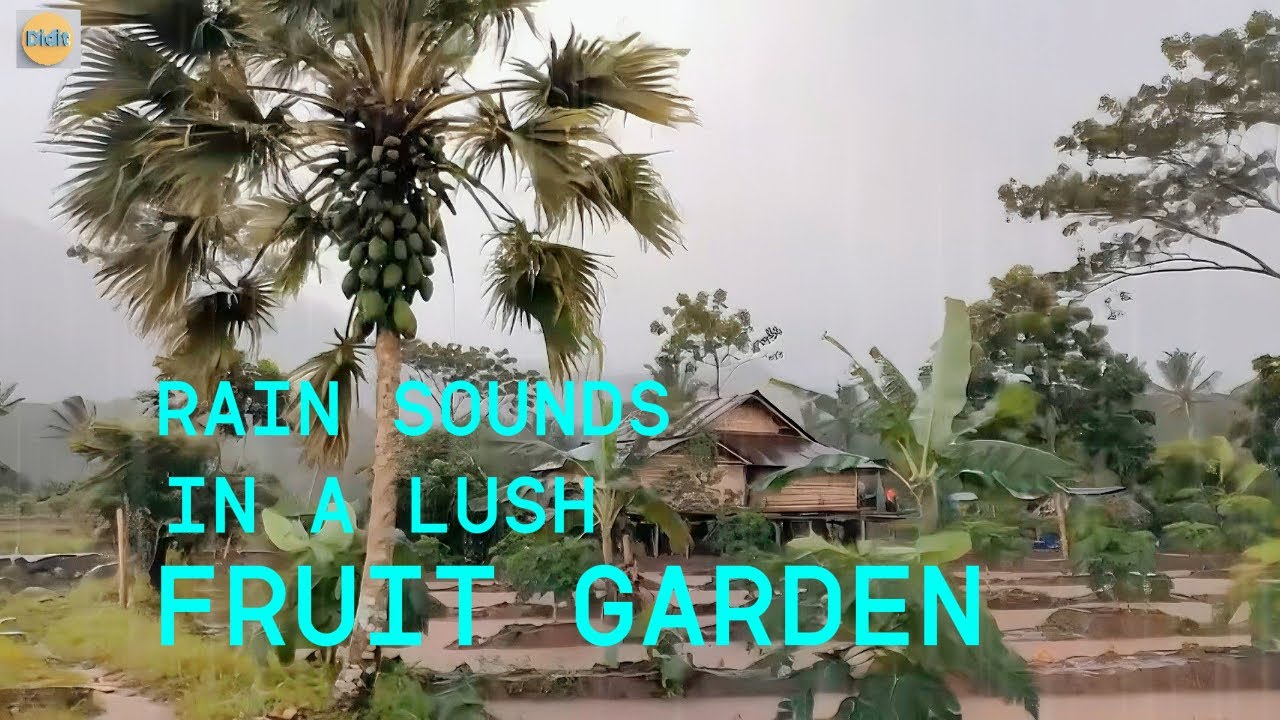 Rain sounds  in a lush fruit garden. #asmr #rain #nature #relaxing