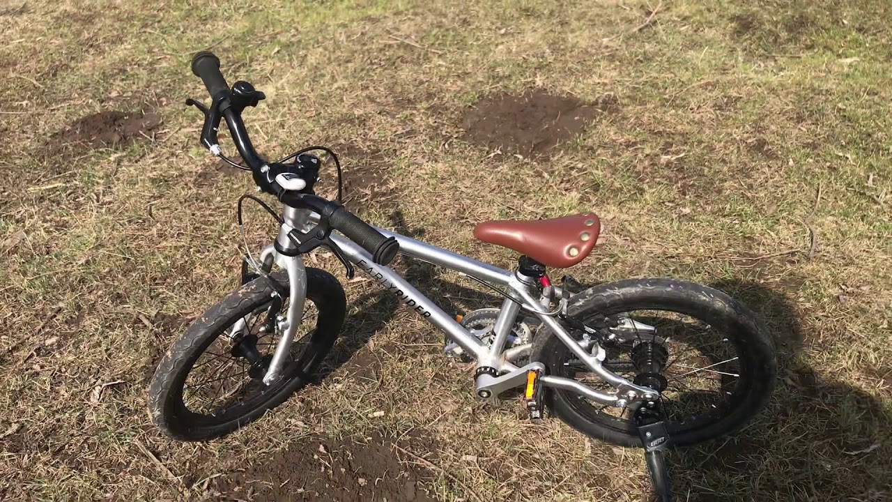 Ersteindruck & Umbau Earlyrider Belter 16