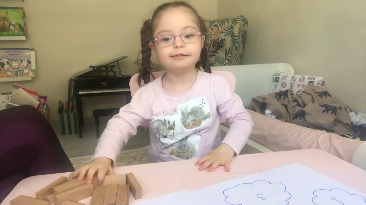 Sayıları somutlaştırma