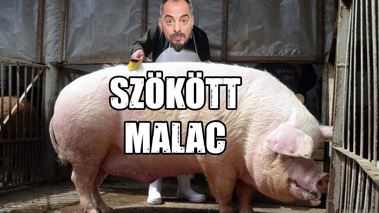 Sz&ouml;k&ouml;tt Diszn&oacute; I K&ouml;z&ouml;ns&eacute;gfilm I Improviz&aacute;ci&oacute;