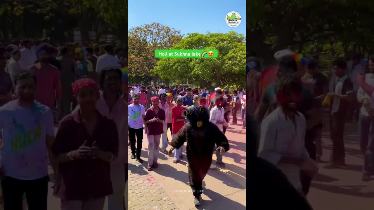 Holi Celebration at Sukhna Lake, Chandigarh 🌈😍 #holispecial #sukhnalakechandigarh #chandigarh