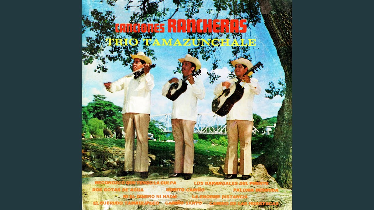 Camino de las Huastecas