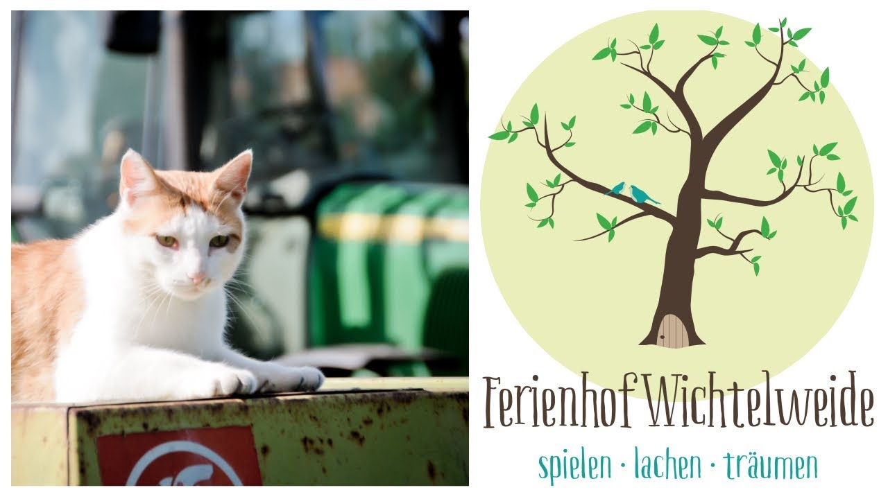 Ferienhof Wichtelweide - Urlaub auf dem Bio-Bauernhof auf Fehmarn