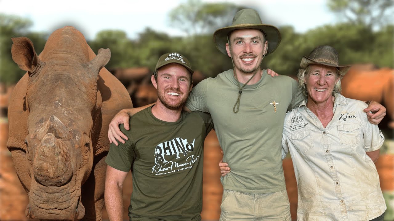 Up Close With Rhinos