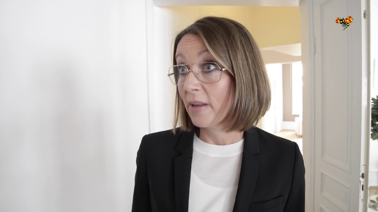 Johanna Möllers advokat Amanda Hikes efter domen