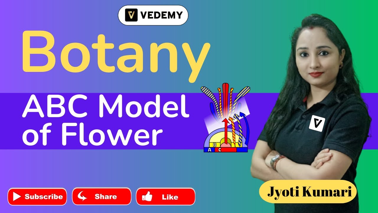 ABC Model of Flowering | Jyoti Kumari | CSIR | GATE | DBT | ICMR | ICAR | CUET | IIT JAM |