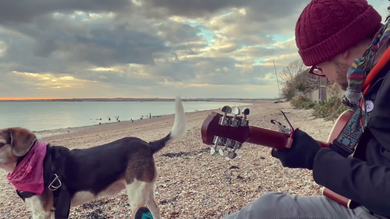Daniel Stephen Turner - Ohwhy? (Recorded Live on Mersea Island)