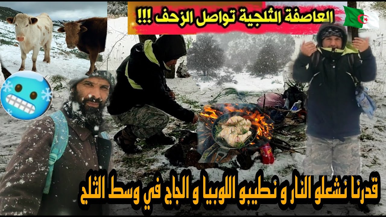الثلج دار فينا حالة تحسب رنا في اوروبا
