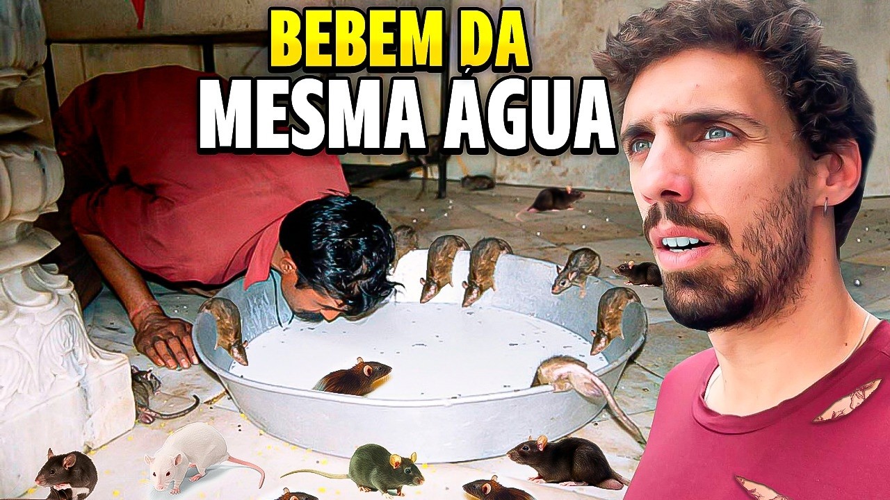 TEMPLO DOS 30.000 RATOS SAGRADOS - Aqui s&atilde;o considerados DA FAM&Iacute;LIA