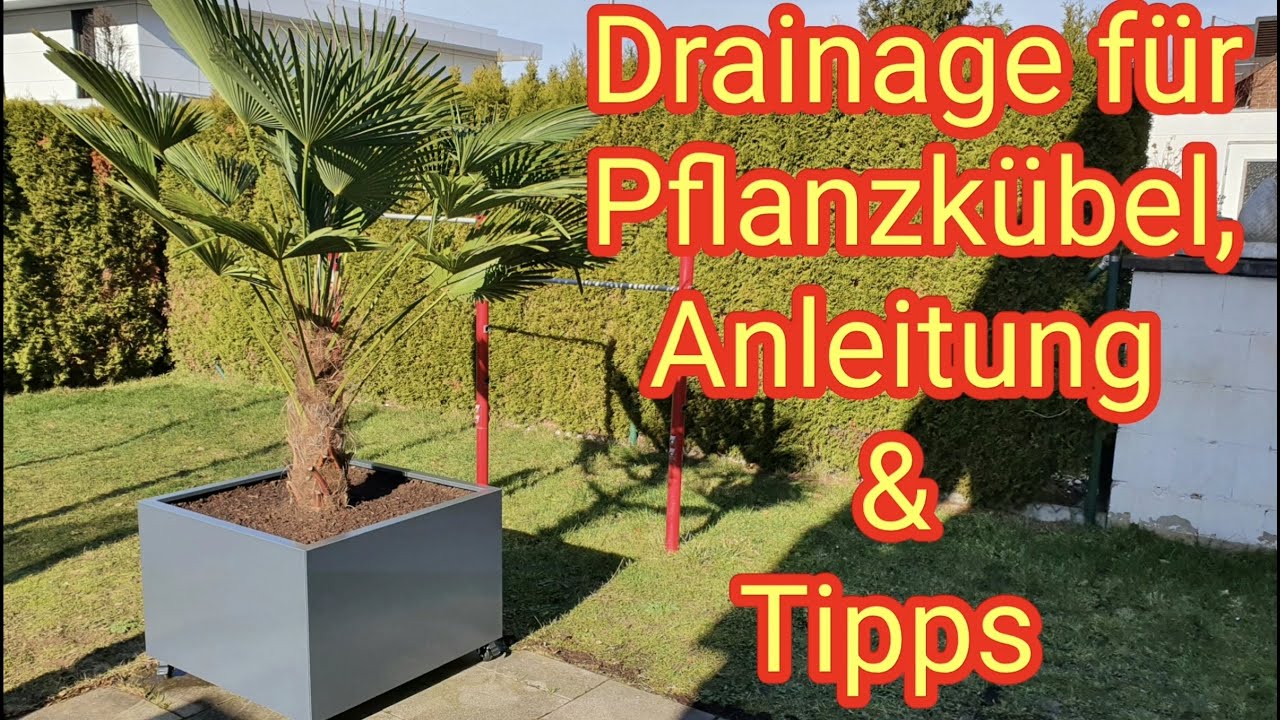 Drainage f&uuml;r Pflanzk&uuml;bel legen, Palme im Garten/Balkon/Terrasse  - DIY-Anleitung: so mach ich es