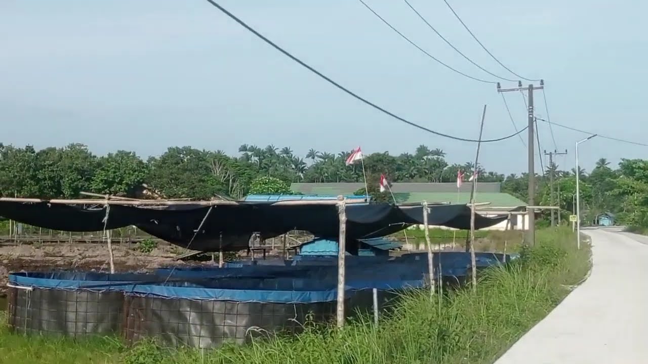 Dasi dan gincu 