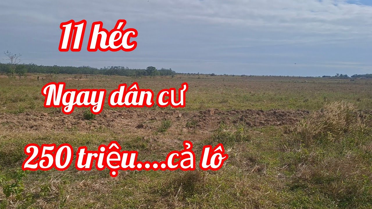 (373) Đất giá rẻ thích hợp làm ruộng, ngay khu dân cư, bám mặt đường đất. 