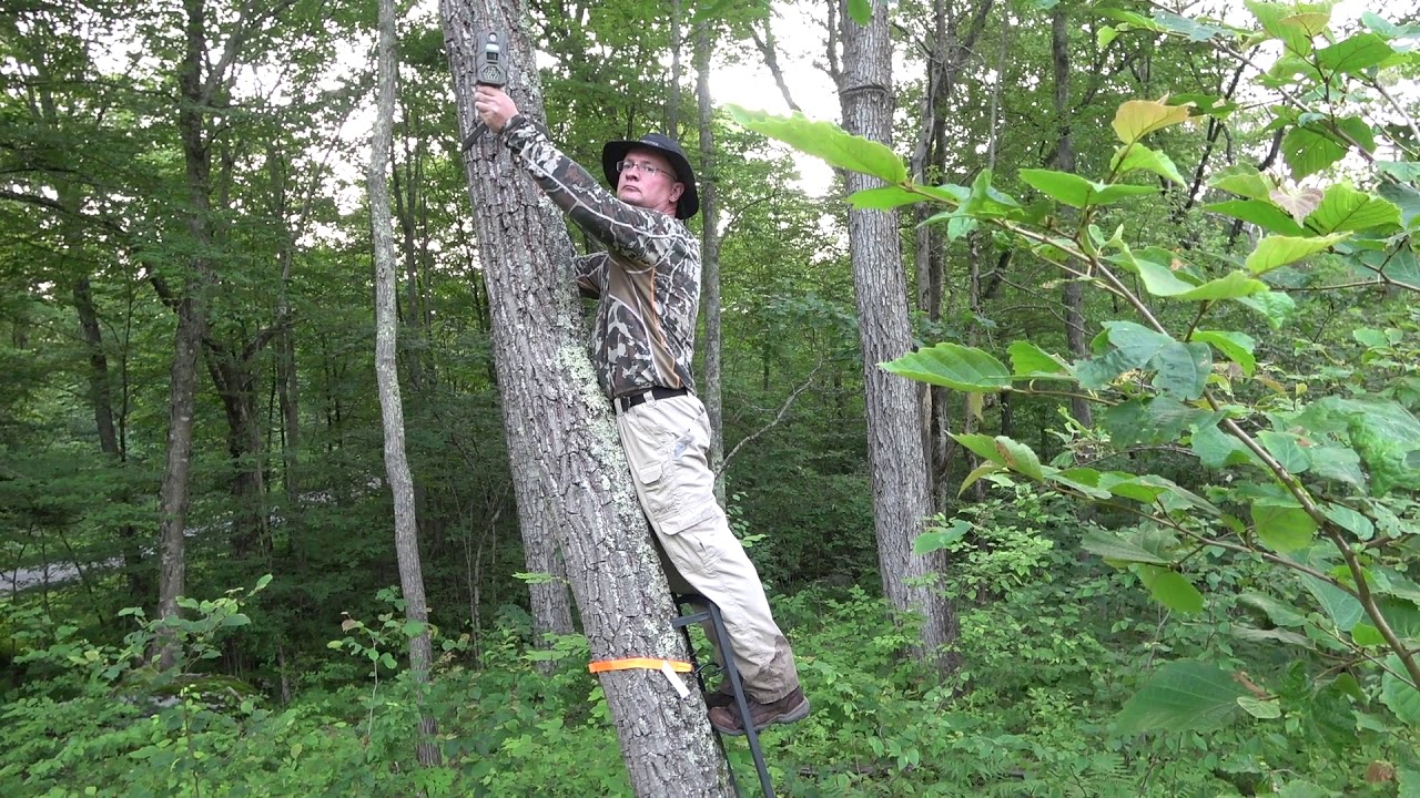 Trail Cameras Installed in Trees