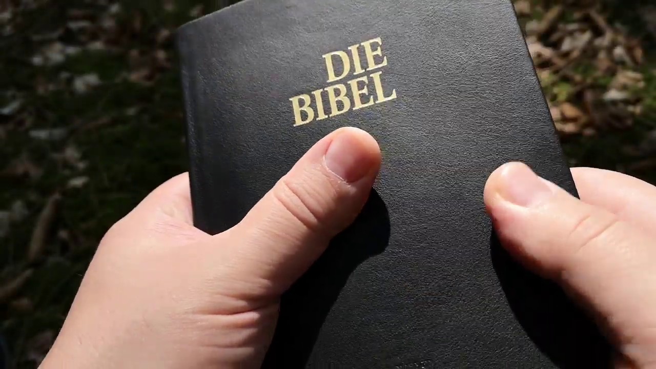 Schlachter 2000 Bibel, Taschenausgabe, Kalbsleder, Daumenregister, Fadenheftung, Goldschnitt...
